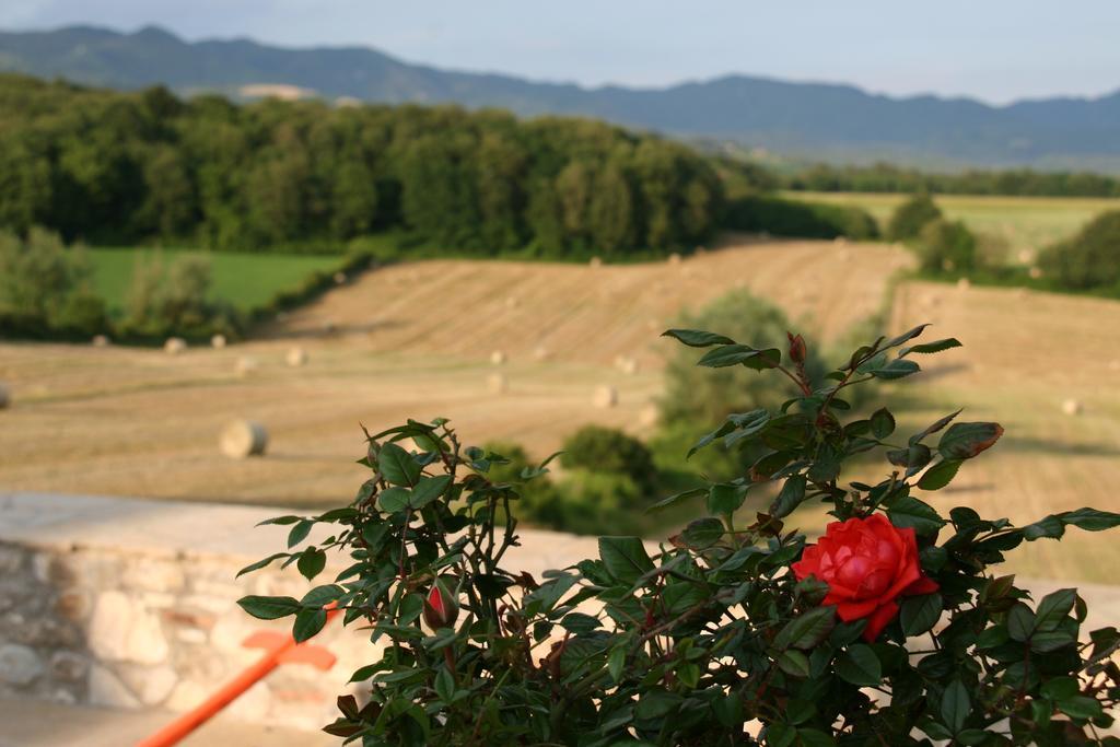 Il Nido Di Gabbiano Pension Scarperia Buitenkant foto
