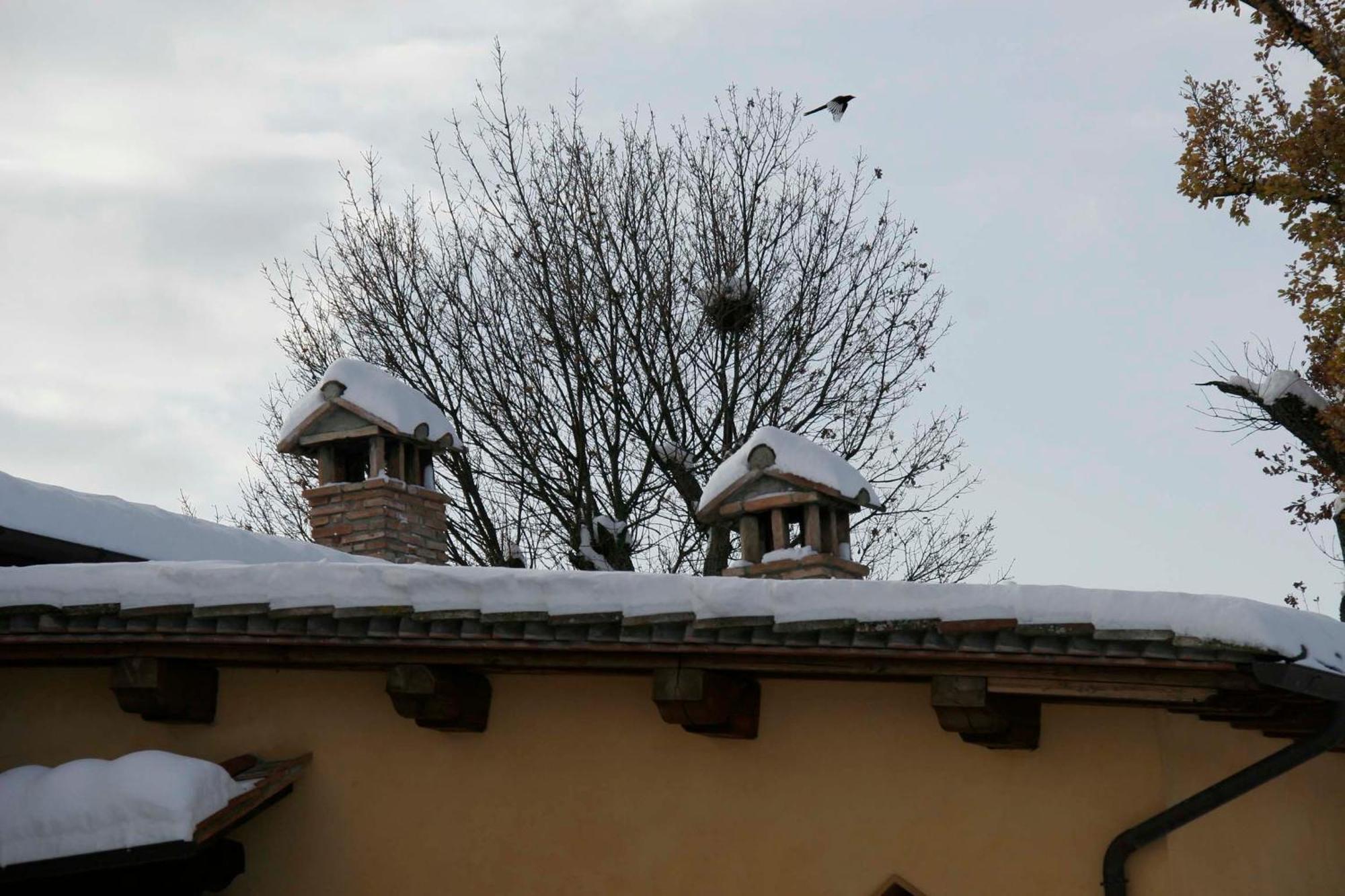 Il Nido Di Gabbiano Pension Scarperia Buitenkant foto